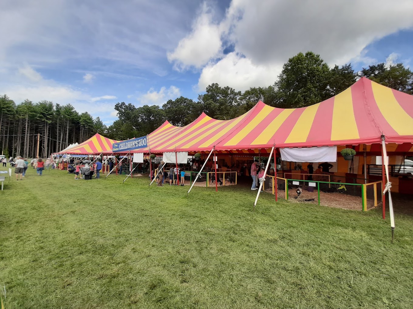 wapping fair image4 Wapping Fair Back in Action! - BISTRO BUDDY | Food & Drink Community Network  Join the Wapping Fair in South Windsor, CT, from September 5-8, 2024, for rides, crafts, shows, and more. Discover a community tradition reborn!