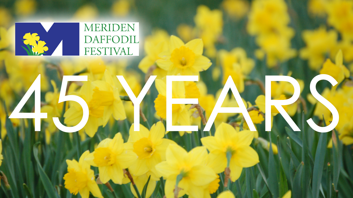 Meriden Daffodil Festival Turns 45 with Music, Food, and Fireworks at Hubbard Park