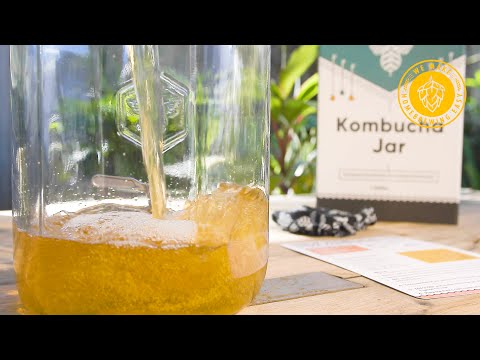 704b27084030f0e97ce3ce3e5953e9e5 Kombucha Making Kit: How To Make It At Home - BISTRO BUDDY | Food & Drink Community Network  Discover and support your local food and drink event scene on the ultimate community platform for foodies and businesses to connect & collaborate!