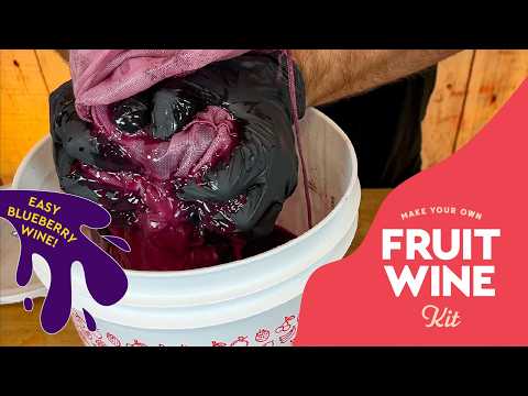 704b27084030f0e97ce3ce3e5953e9e5 Making Wine From Fruit Juice - an Easy Guide for Beginners - BISTRO BUDDY | Food & Drink Community Network  Discover and support your local food and drink event scene on the ultimate community platform for foodies and businesses to connect & collaborate!