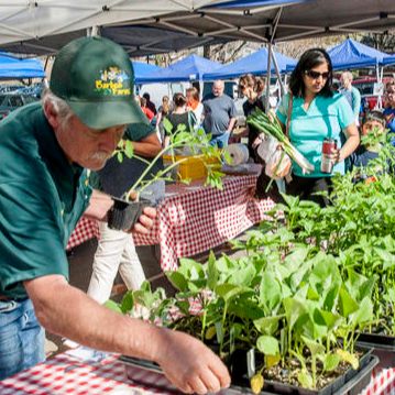 Farmers Markets