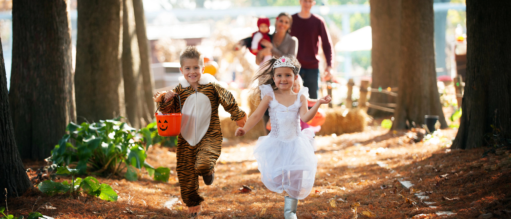 Phantom Fall Fest in Bristol CT | Oct 31, 2026