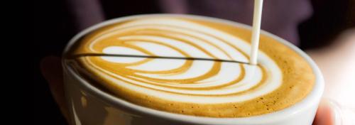 Rebel Dog Coffee - Farmington