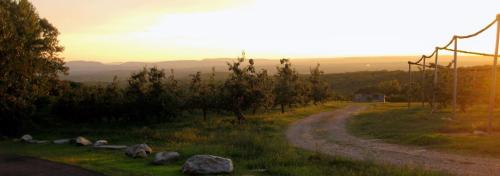Crystal Ridge Winery
