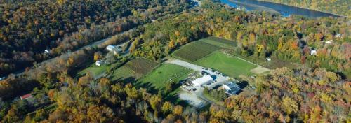 Aquila'S Nest Vineyards