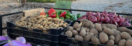 Full Heart Farm