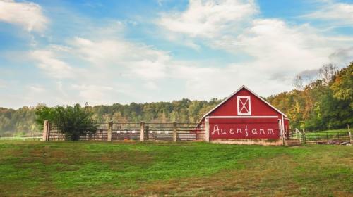 Auerfarm
