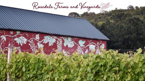 Rosedale Farms & Vineyards