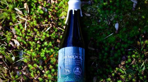 Tox Brewing Company