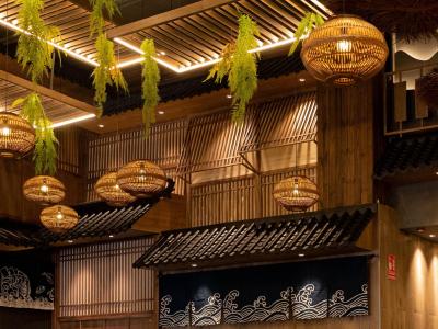 Kaisen Experience