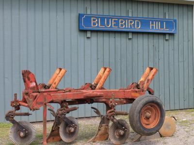 Bluebird Hill Farm