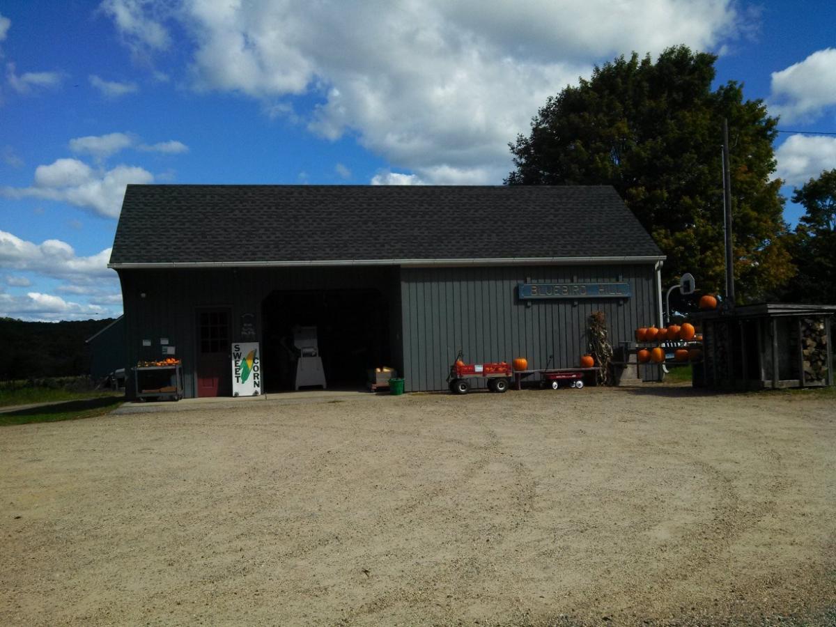 Discover fresh local produce, family atmosphere, and seasonal events at Bluebird Hill Farm in Lebanon, CT—your destination for farm-fresh goodness
