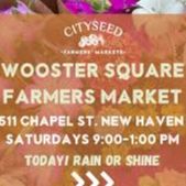 CitySeed Farmers Market-Wooster Square