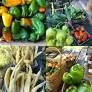 Higganum Farmers Market