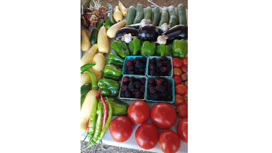 Danielson Farmers Market