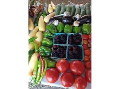 Danielson Farmers Market