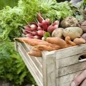 Greenwich Farmers Market