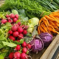 Seymour Farmers Market