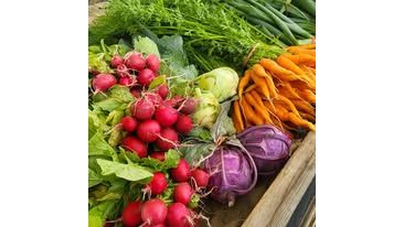 Seymour Farmers Market