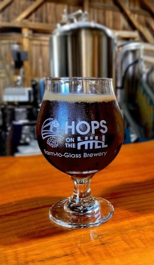 Hops on Hops Snifter Beer Glass, V2