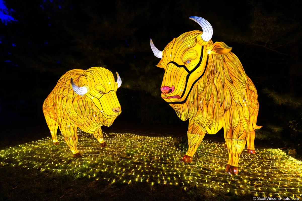 Event Videos | BISTRO BUDDY | Food and Drink Network Social