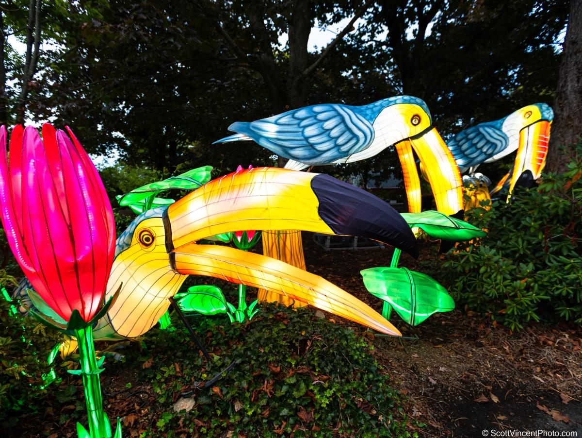 Event Videos | BISTRO BUDDY | Food and Drink Network Social