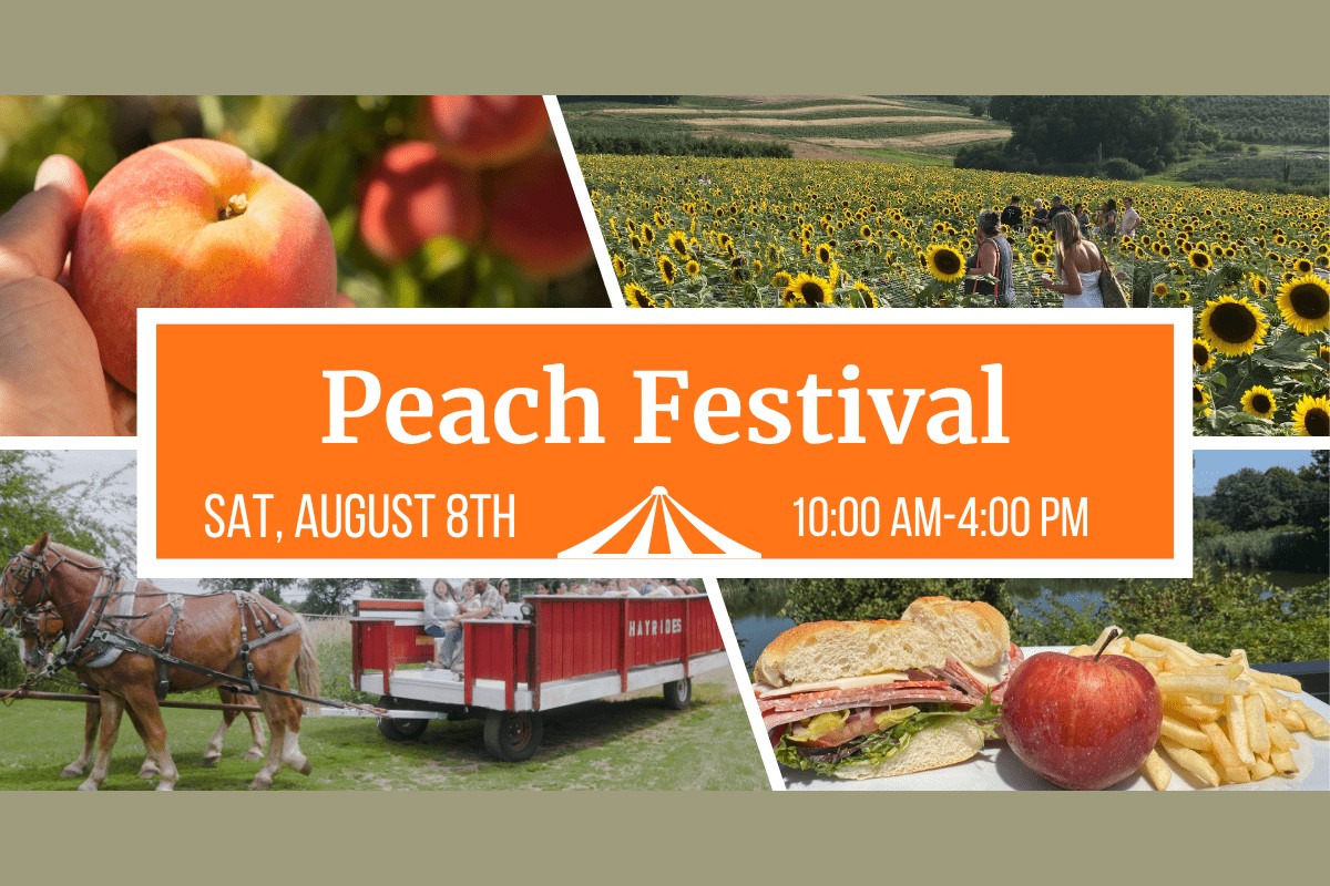 Lyman Orchards Peach Festival