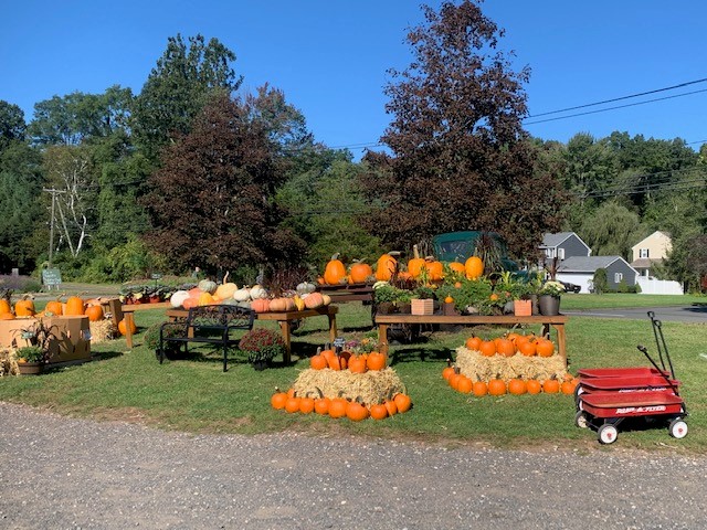 Stafford Fall Harvest & Wine Festival - Ocean County Tourism